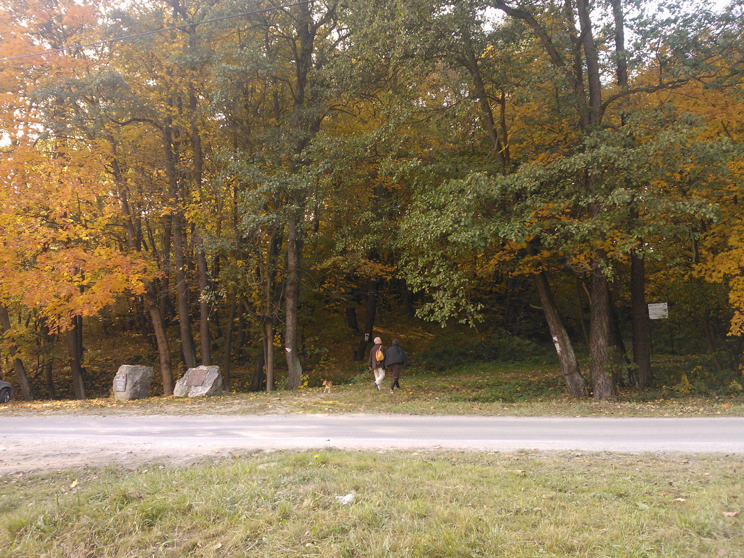 WP_000089